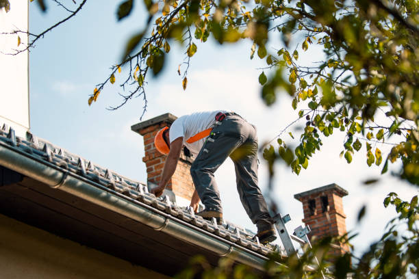 Best Commercial Roofing Services  in Perry, OK